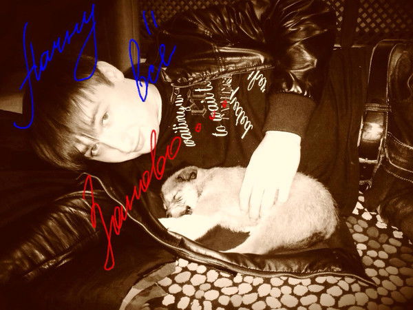 Тимур Жанаристанов