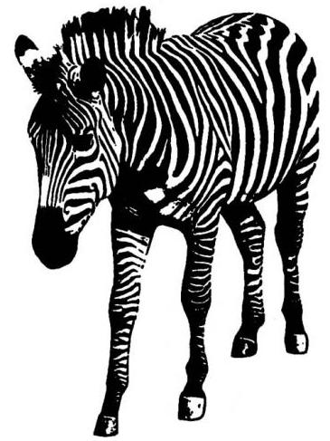 Юлия и Олег Ку ликовы