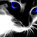 Виталик Красильников