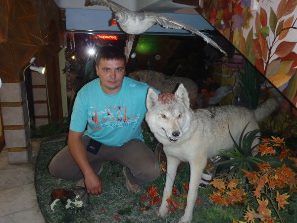 Шишкин Александр