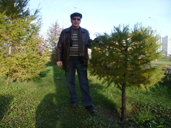 Николай Рыбак