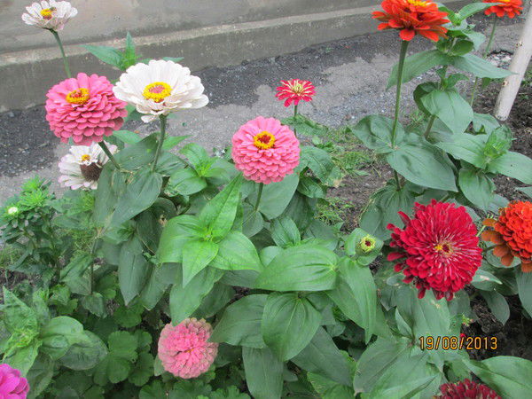 Надежда Ерофеева