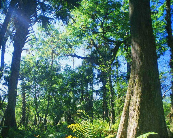 Сырдария- Туркестан