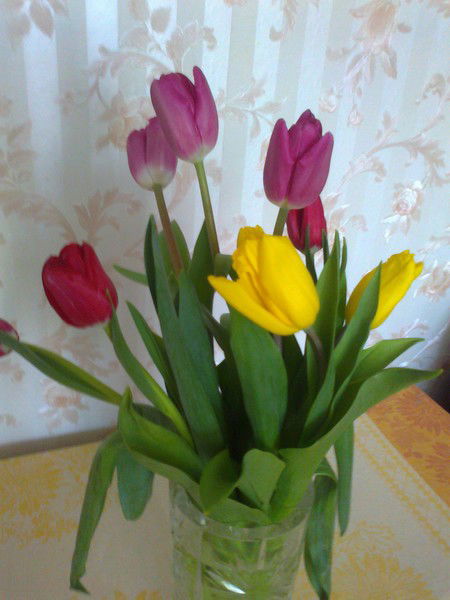 Елена Фёдорова