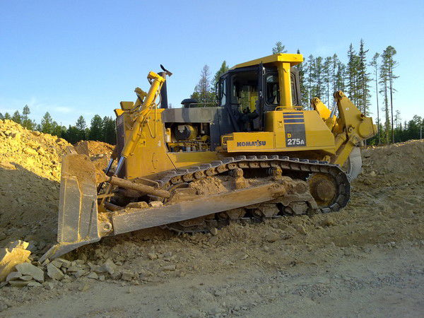 Роман Шейкин