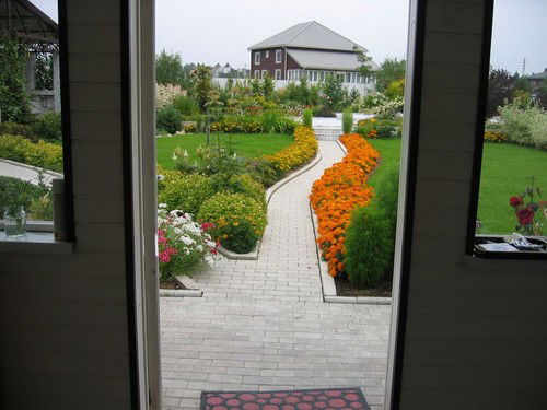 Марк Ефимов