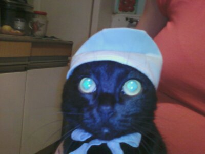 Алексей Лермонтов