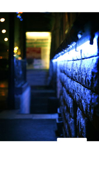 Динар Ямалтдинов