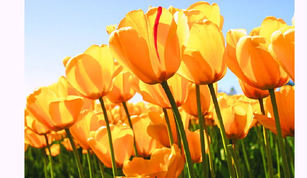 Татьяна Качабурова