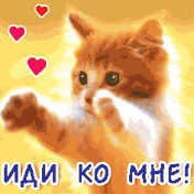 Надия Стрижова