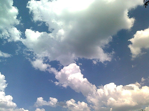 Людмила Таран