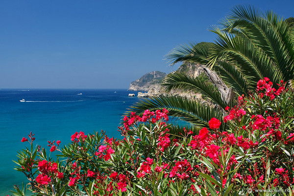 Мария Сласнова