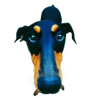 Наталья Ковалева