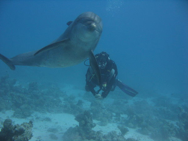 Кира Иванова