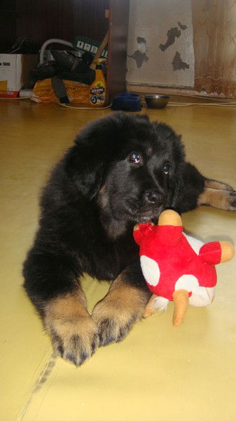 Юлия Рубцова