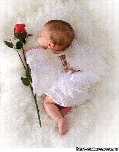 Татьяна Делиергиева