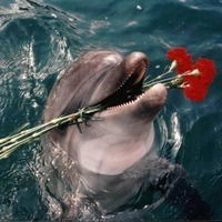 Владимир Феденев