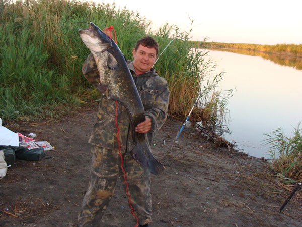 Виталий Лютиков