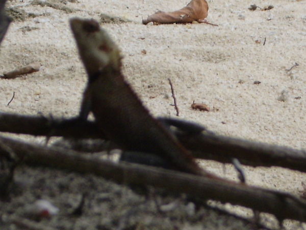 ?????°?????»???? ?????¶?µ???µ????????