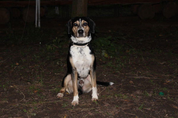 Сергей Шебуков