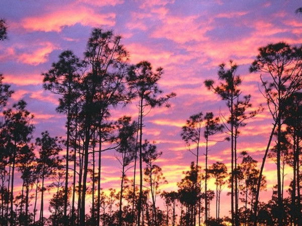 Татьяна Ахмеджанова