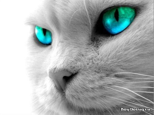 Евгения Ященко