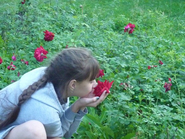 Елена Комлева