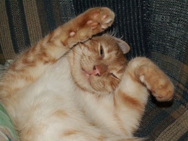 Надежда Бутыревская