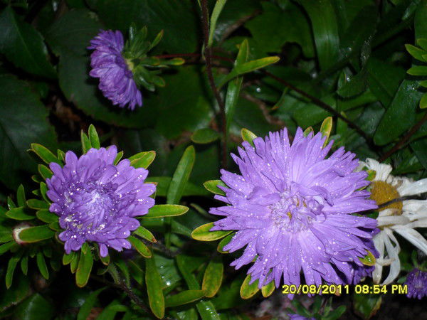 Наталия Иванова