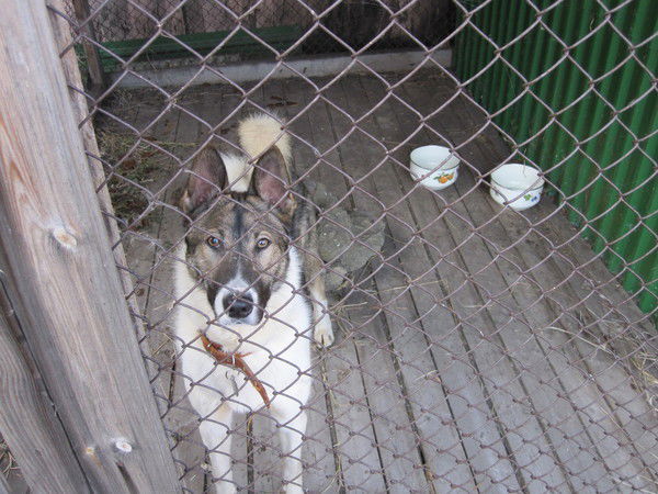 Сергей Константинов