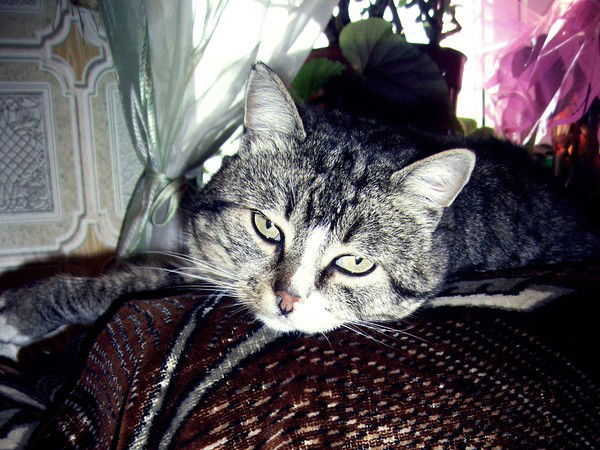 Наталия Савранская