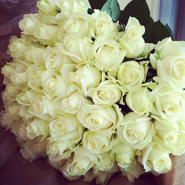 Катерина Люшина