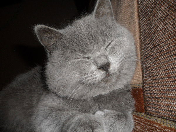 Галина Платунина