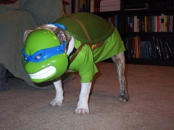 Александр Озёрский