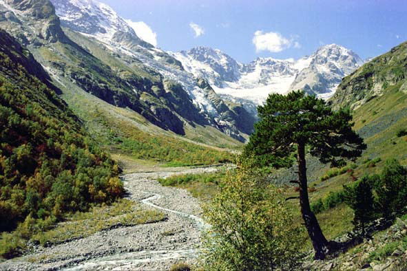 Ирина Биджелова