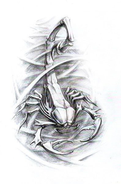 Оксана Васина