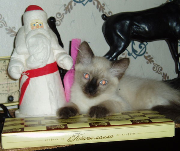 Екатерина Кож