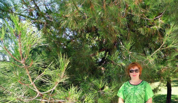 Наталья Комлева