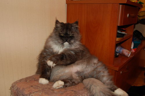 Алекс Иванов