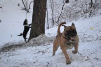 Андрей Брюханов