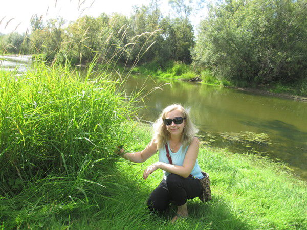 Елена Прибыткова