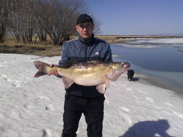 Владимир Кашпаров