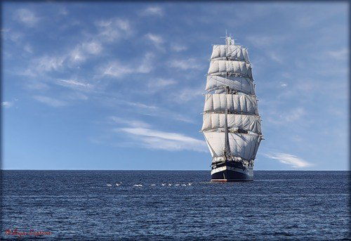 Мона Абилова