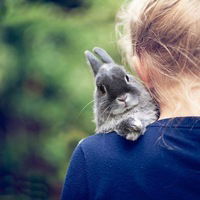 Виктория Шуварина