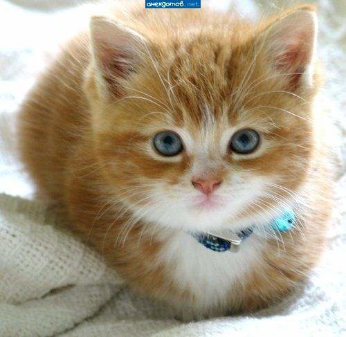 Баубек Таганов