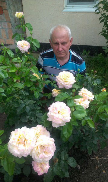 Николай Тупахин