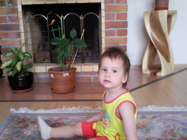 Аллахын Бендеси