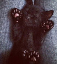 Виктория Соболева