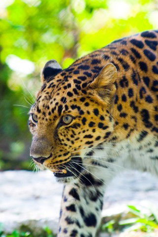 Евгения Карпухина