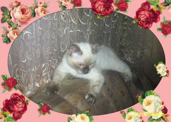 Прекрасная Брунгильда